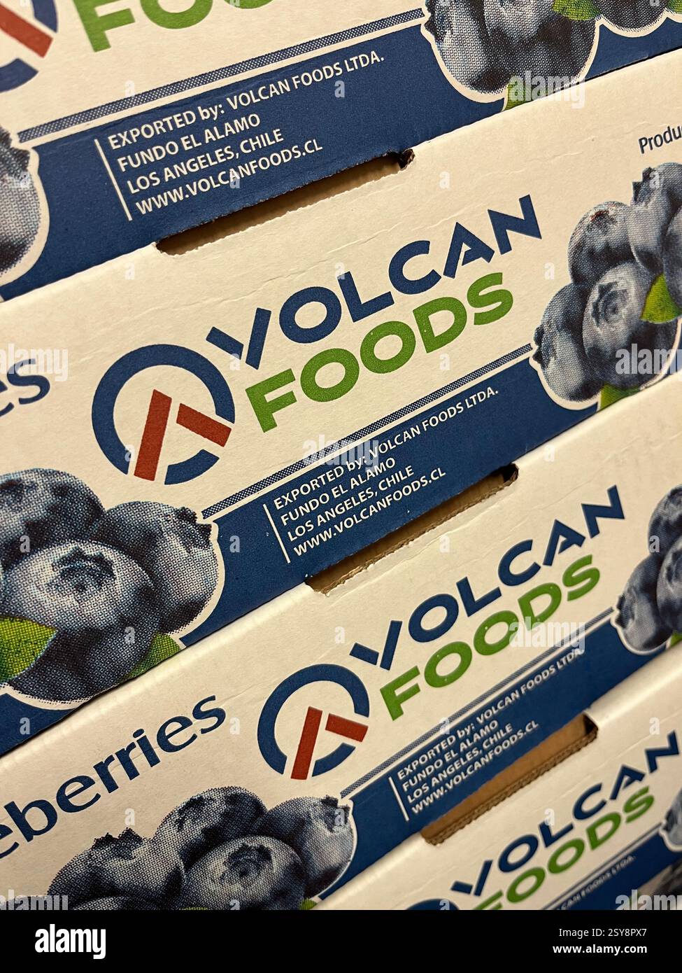 Draufsicht der Pappkiste von Volcan Foods für frische Heidelbeeren, Produkt aus Chile, bereit für den Export in globale Märkte, südamerikanische Frucht-Export Stockfoto