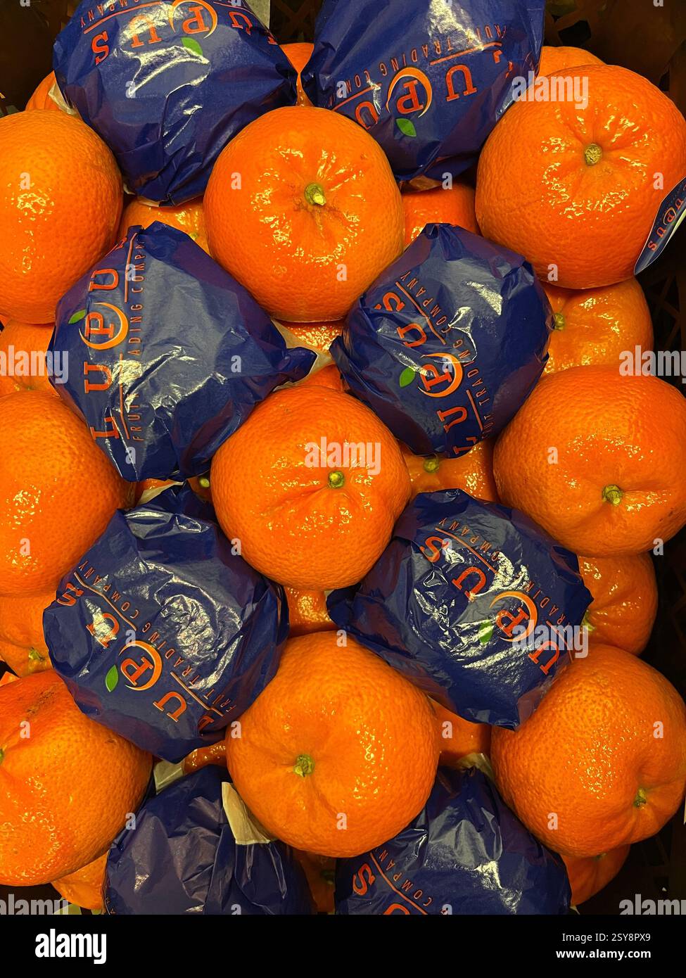 Draufsicht auf Mandarinen in Kisten der Marke Lupus Fruit Trading Company, die die Qualität und Effizienz des globalen Obsthandels repräsentieren - Smartphone-aufgenommenes Stockfoto