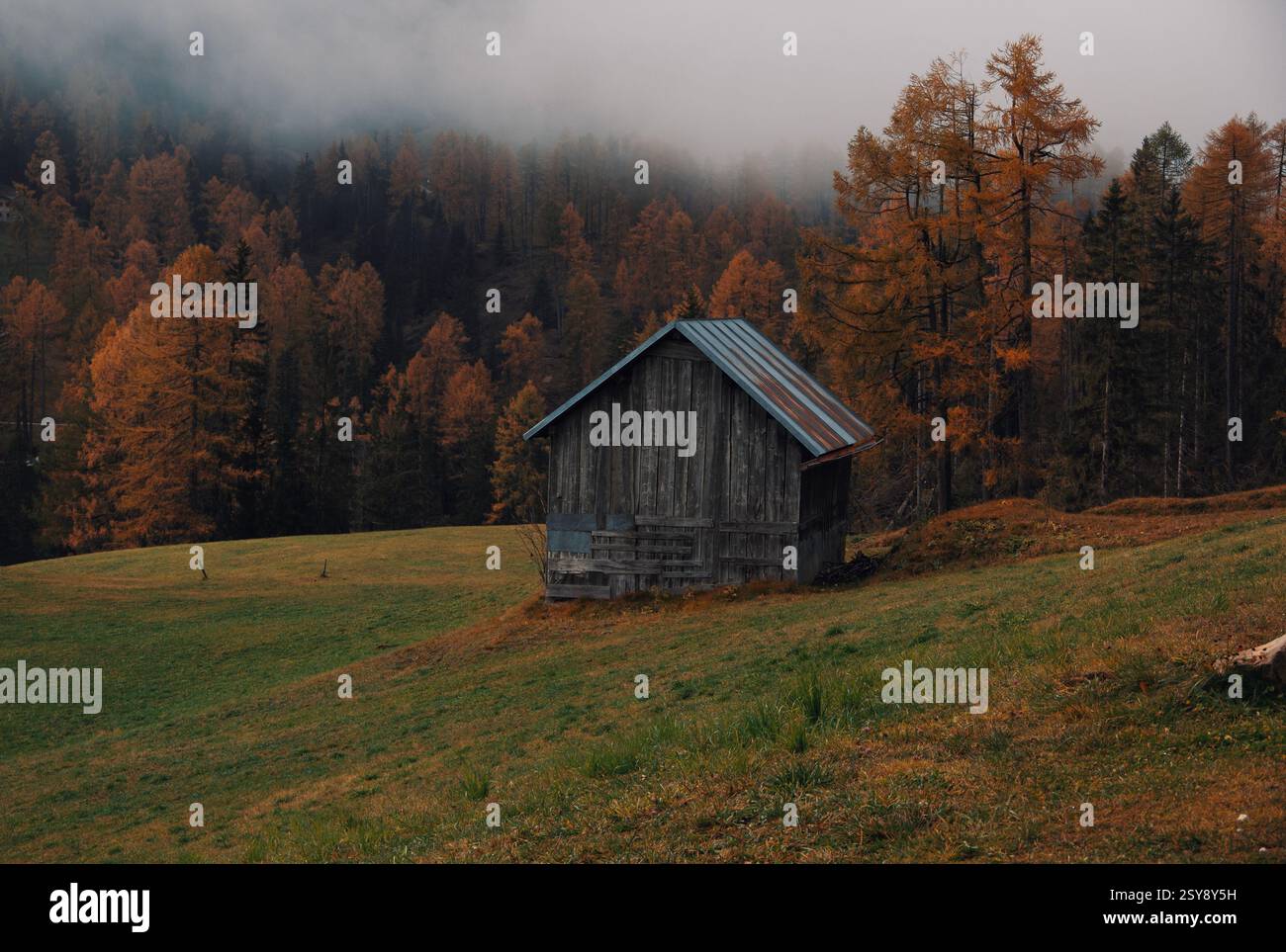 Einzelhütte Seiser Alm vor einem herrlichen Wald im Nebel Stockfoto