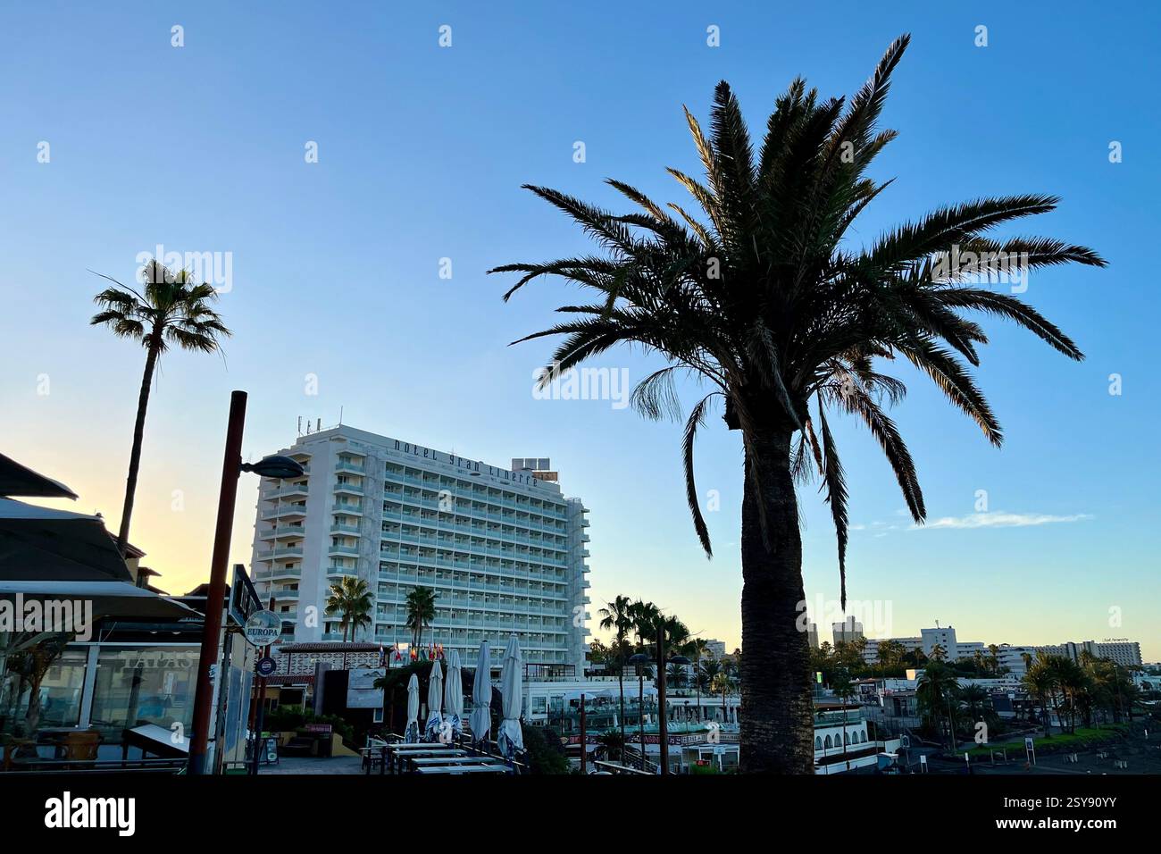 Blick auf die H10 Gran Tinerfe, mit einer Palme im Vordergrund. Costa Adeje, Teneriffa, Kanarische Inseln, Spanien. Januar 2025. - Smartphone-aufgenommenes Stockfoto
