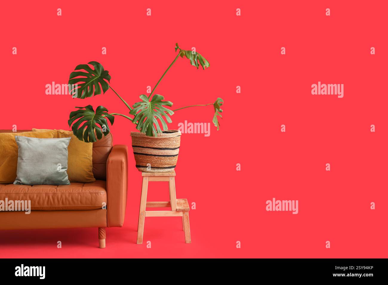 Gemütliches Sofa mit Kissen und Zimmerpflanze auf rotem Hintergrund Stockfoto