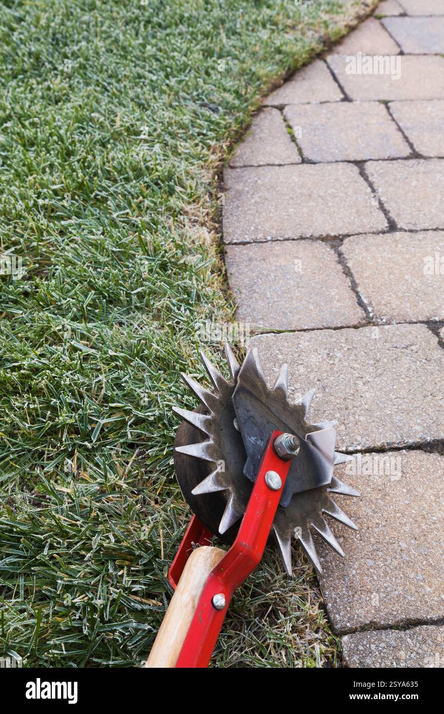 Roter manueller Rasenkantenschneider mit umrandetem Rand zwischen grünem Rasen und hellbrauner Terrasse aus Pflasterstein im Wohnbereich im Herbst, Quebec, Kanada Stockfoto