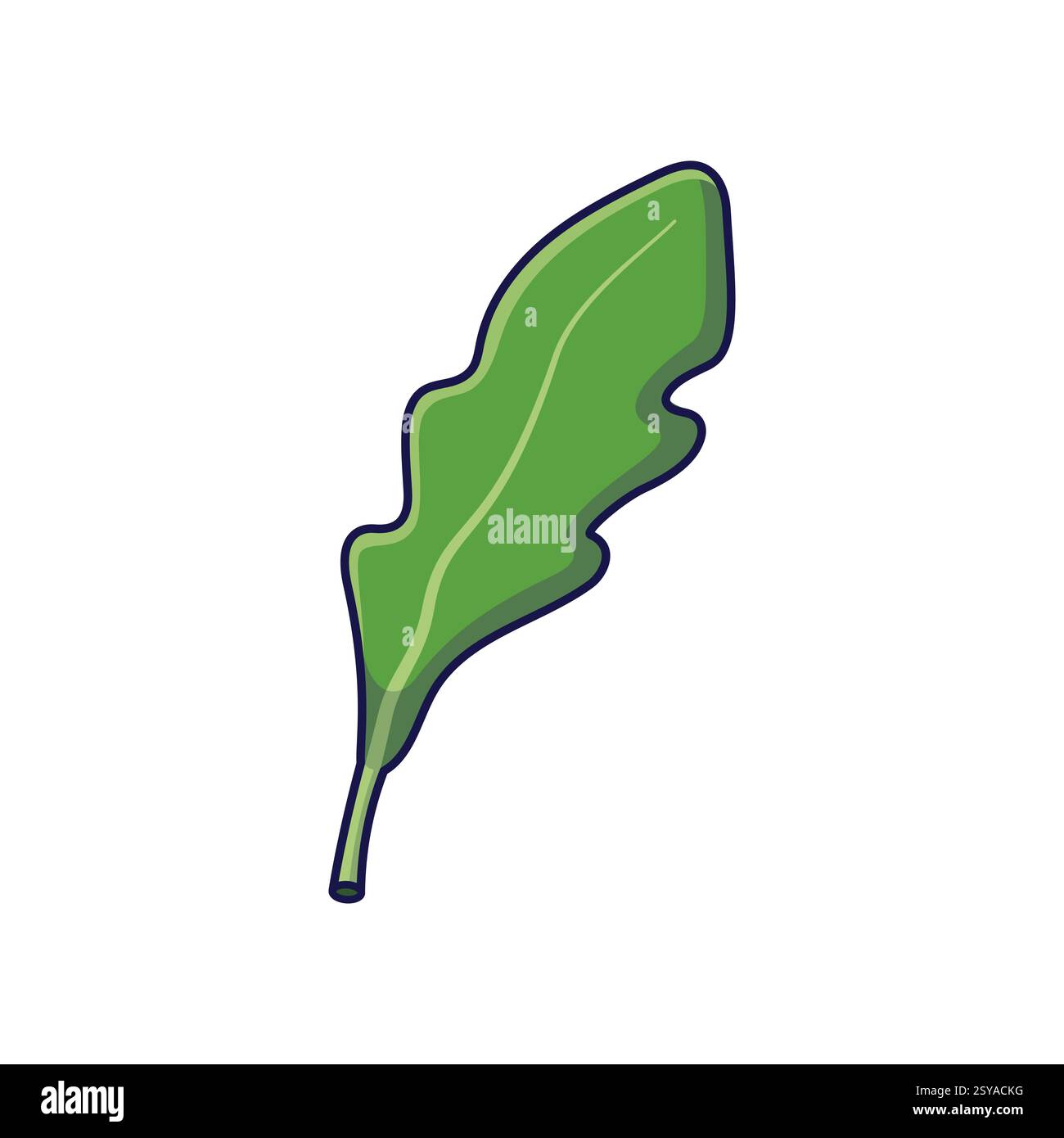 Frischkräuter-Konzept. Niedliches Rucolablatt. Illustration des Vektor-Zeichentricksymbols. Umrichte Arugula im Doodle-Stil. Isoliert auf weißem Hintergrund. Stock Vektor