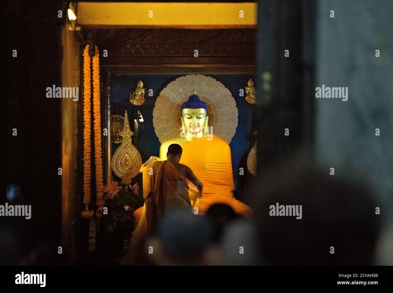 Ein diensthabender Mönch, der die Statue des heiligen Goldenen Buddha mit einem neuen Gewand im Inneren des Kammerschreins des Mahabodhi-Tempels in Bodh Gaya, Bihar, Indien bedeckt. Stockfoto
