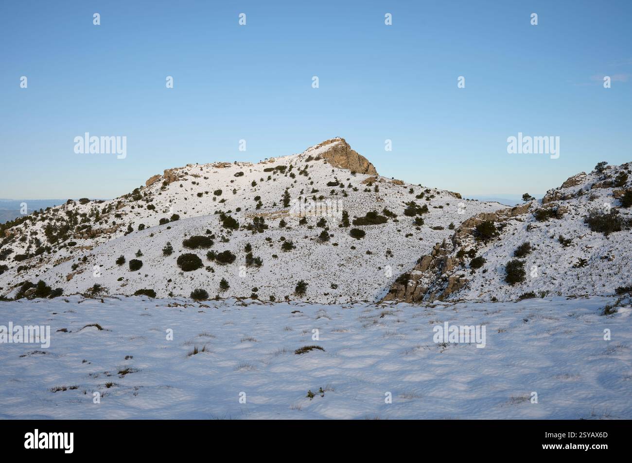 Eine ruhige Winterszene in Montcabrer in Spanien, die den schneebedeckten Gipfel unter einem klaren blauen Himmel zeigt. Dünne Vegetation prägt die Landschaft und trägt dazu bei Stockfoto