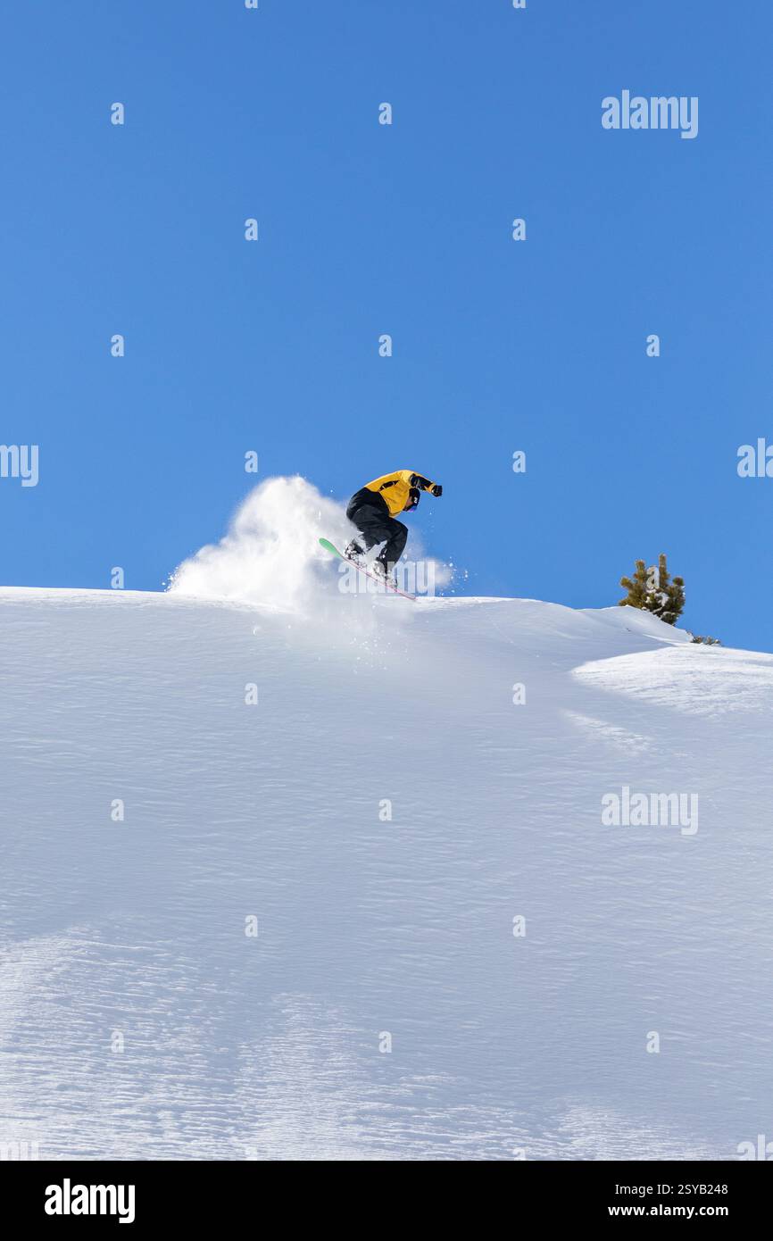 Ein dynamischer Snowboarder in einer gelben Jacke reitet einen verschneiten Hang hinunter und schleudert den Pulverschnee vor einem klaren blauen Himmel und verkörpert den Nervenkitzel und die Energie des Winters Stockfoto