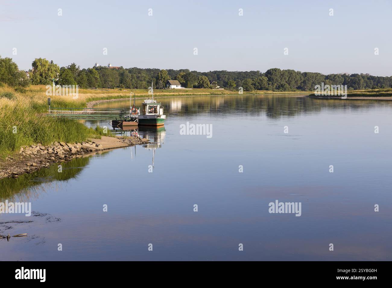 Elbe mit Fähre Nixe am linken Elbufer, im Hintergrund die Burg Strehla, Sachsen, Deutschland, Europa Stockfoto