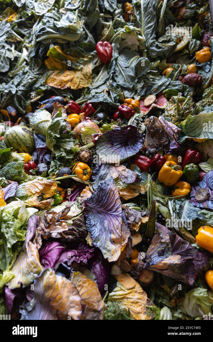 Lebensmittelverschwendung - Obst und Gemüse wird weggeworfen, wodurch Deponien entstehen Stockfoto