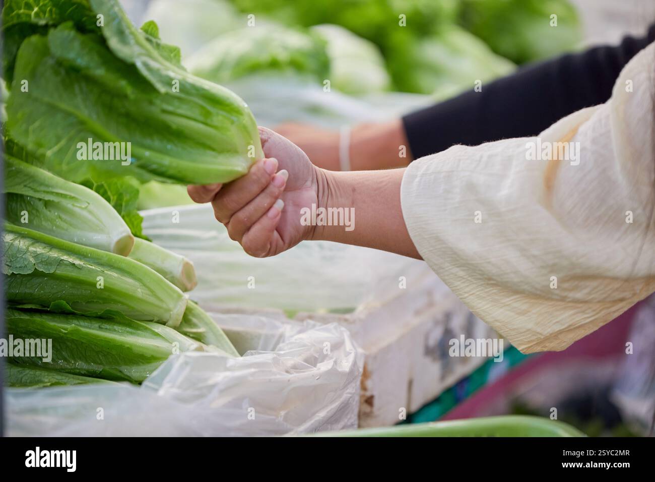 Abgeschnittene Hand einer Frau, die frische grüne Cos auf dem Markt hält Stockfoto