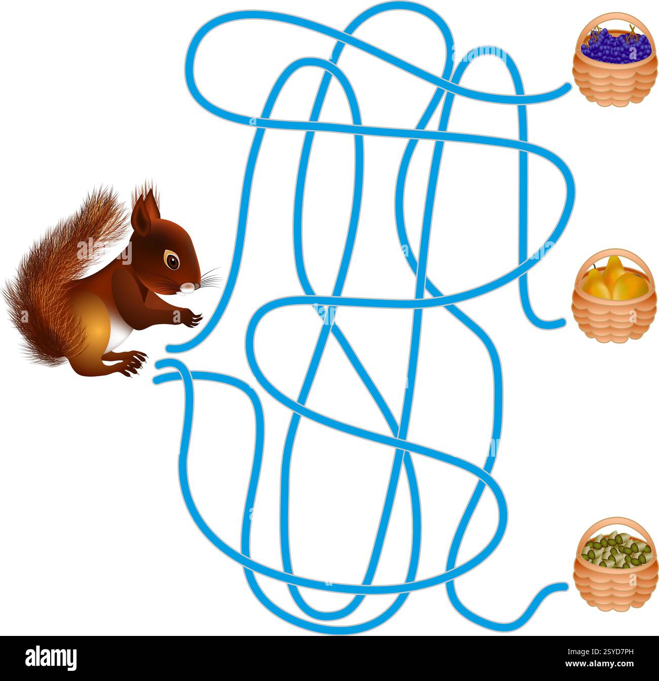 Labyrinth-Spiel, Eichhörnchen. Stock Vektor
