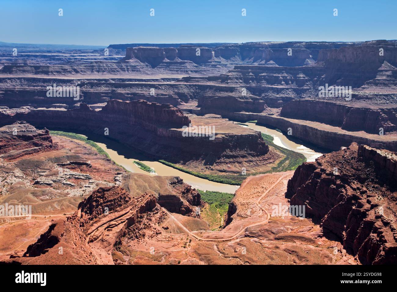 Blick vom Dead Horse Point Stockfoto