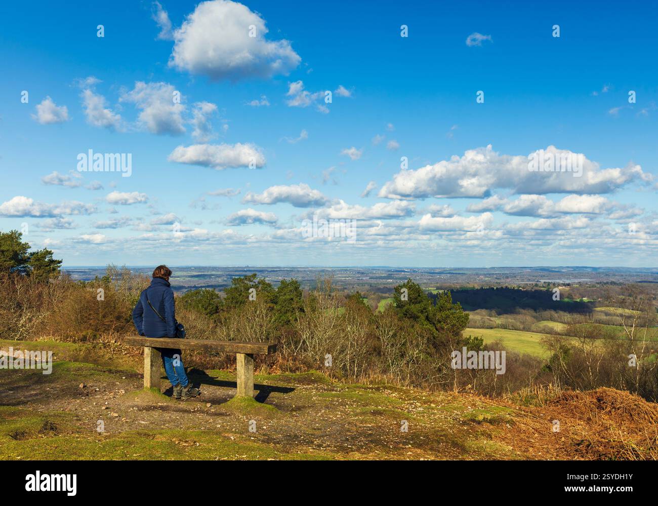 Frau, die über die Surrey Hills schaut, von Gibbet Hill, Hindhead, Surrey, Großbritannien. Stockfoto