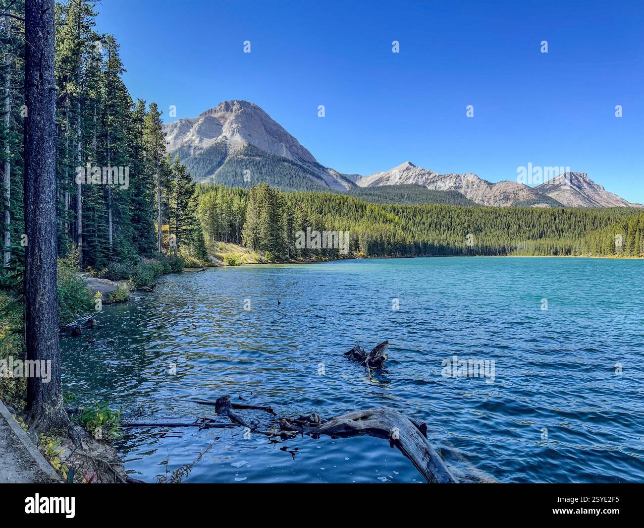 Eine Seeszene mit einem gefallenen Baumstamm im Vordergrund, mit einer unberührten Bergkette und einem dichten immergrünen Wald im Hintergrund. Die Wasserreferenz Stockfoto