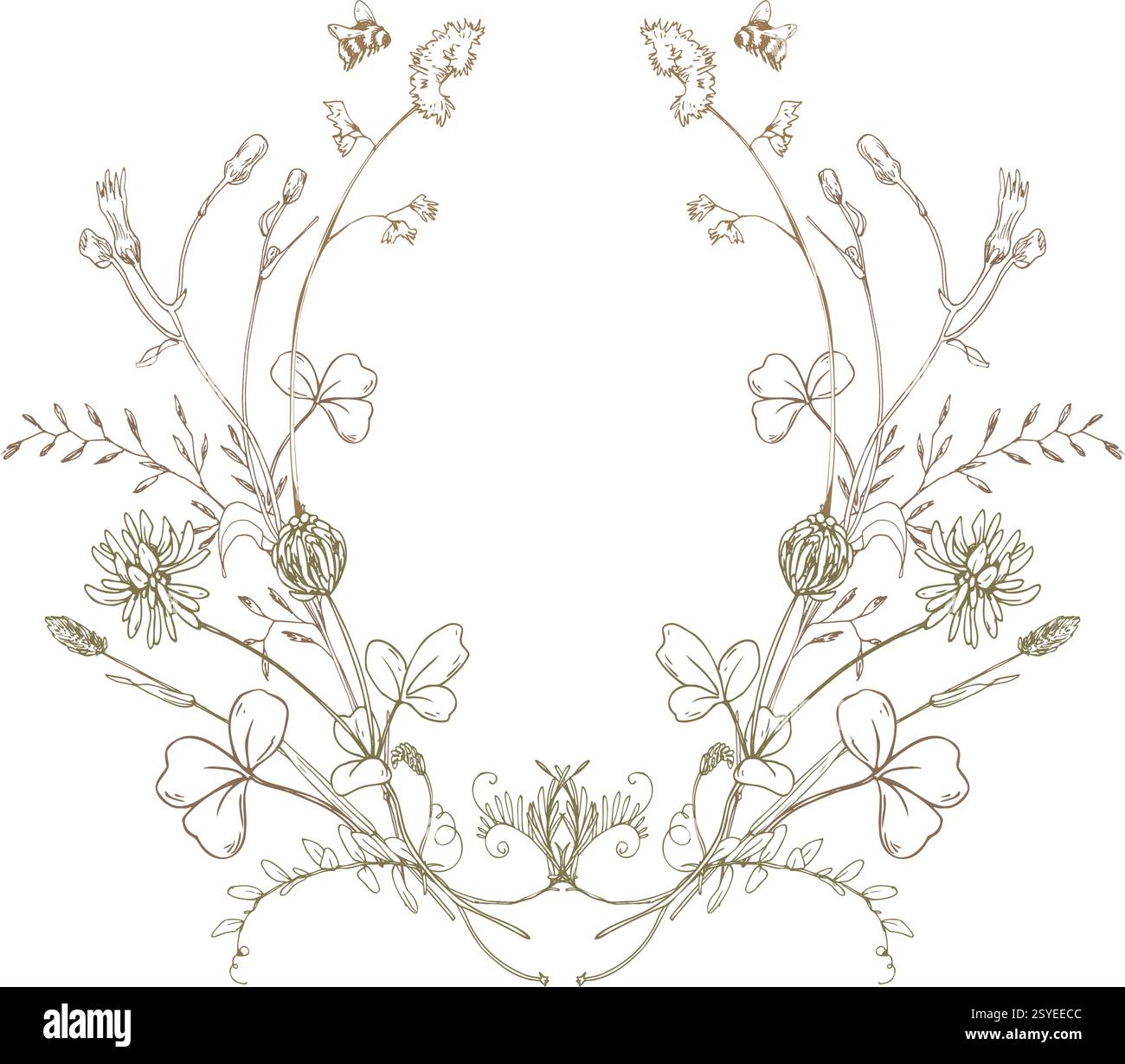 Feld, Wiese, Wildblumen und Kräuterklee mit Hirtenbeutel, Pollen. Strichgrafik ist eine einfache handgezeichnete Illustration in beige, ockerfarbene und braune Tinte Stock Vektor