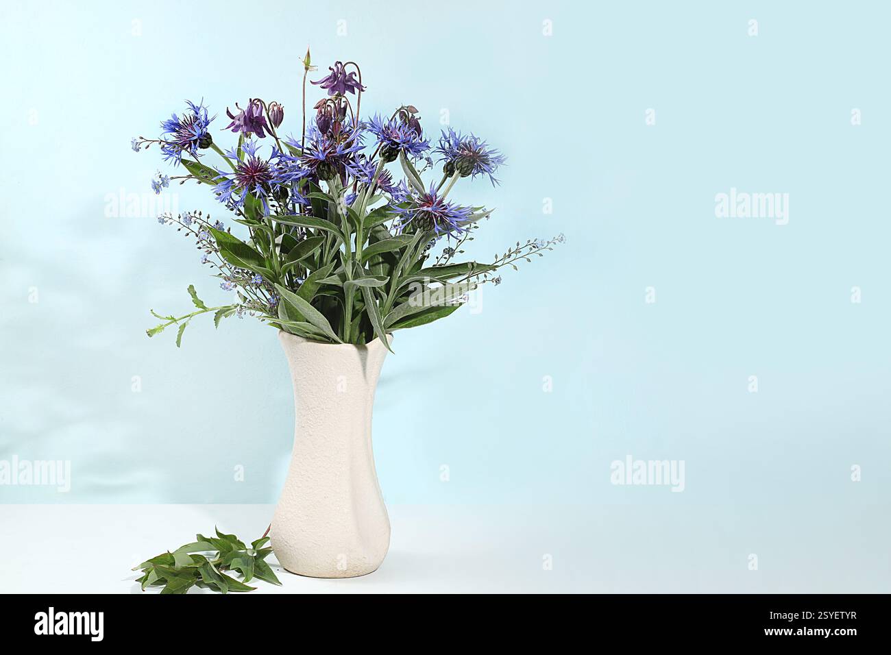 Inneneinrichtung mit Dekorelementen, schöne Wildblumen Blauglocken in einer Vase auf hellem Hintergrund, abstrakte Blumenkomposition, Stillleben mit p Stockfoto