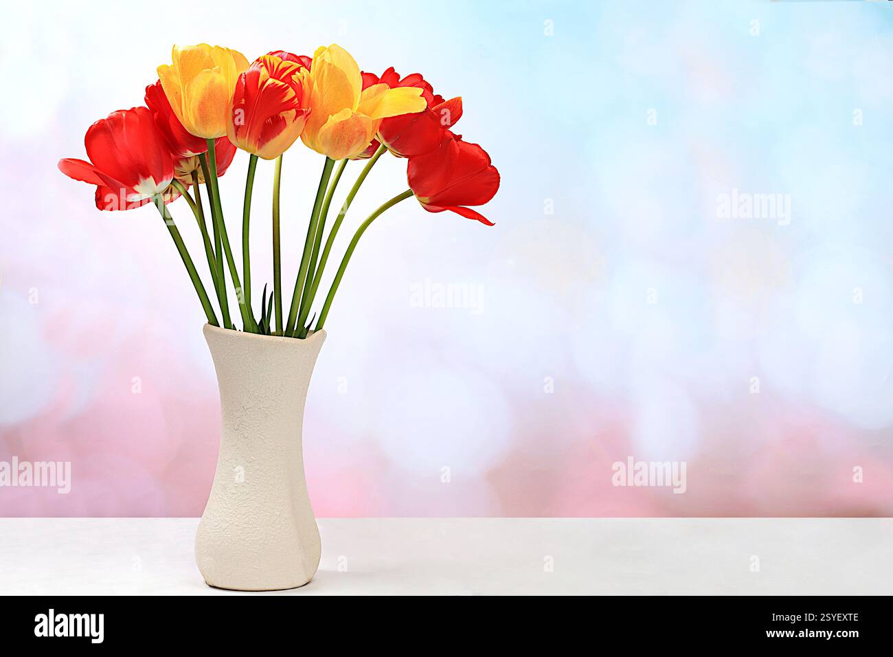 Schöne Frühlingsblumen Tulpen in einer Vase auf einem eleganten Hintergrund, Banner. Abstraktes Blumenarrangement, Stillleben mit Platz für Text, florale Feierlichkeiten Stockfoto