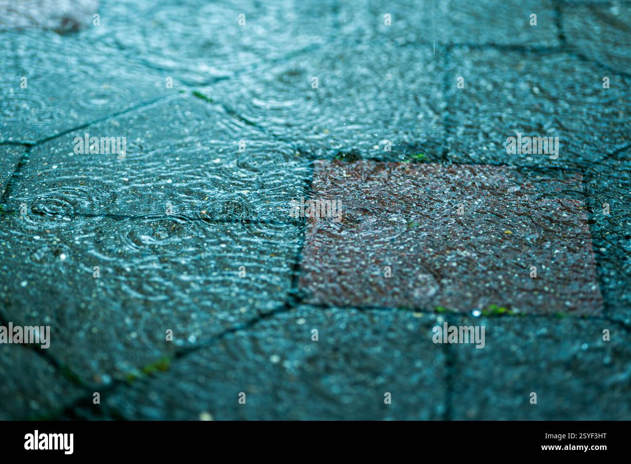 Regendurchfluteter Stadtboden – Moody Urban Background Stockfoto