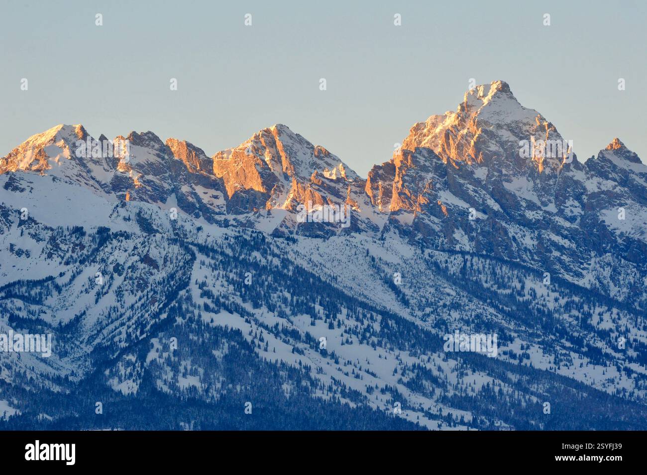 Schneebedeckte Gipfel der Teton Mountain Range, Grand Teton National Park, Wyoming, bei Sonnenuntergang mit der goldenen Stunde des alpenglow. Stockfoto