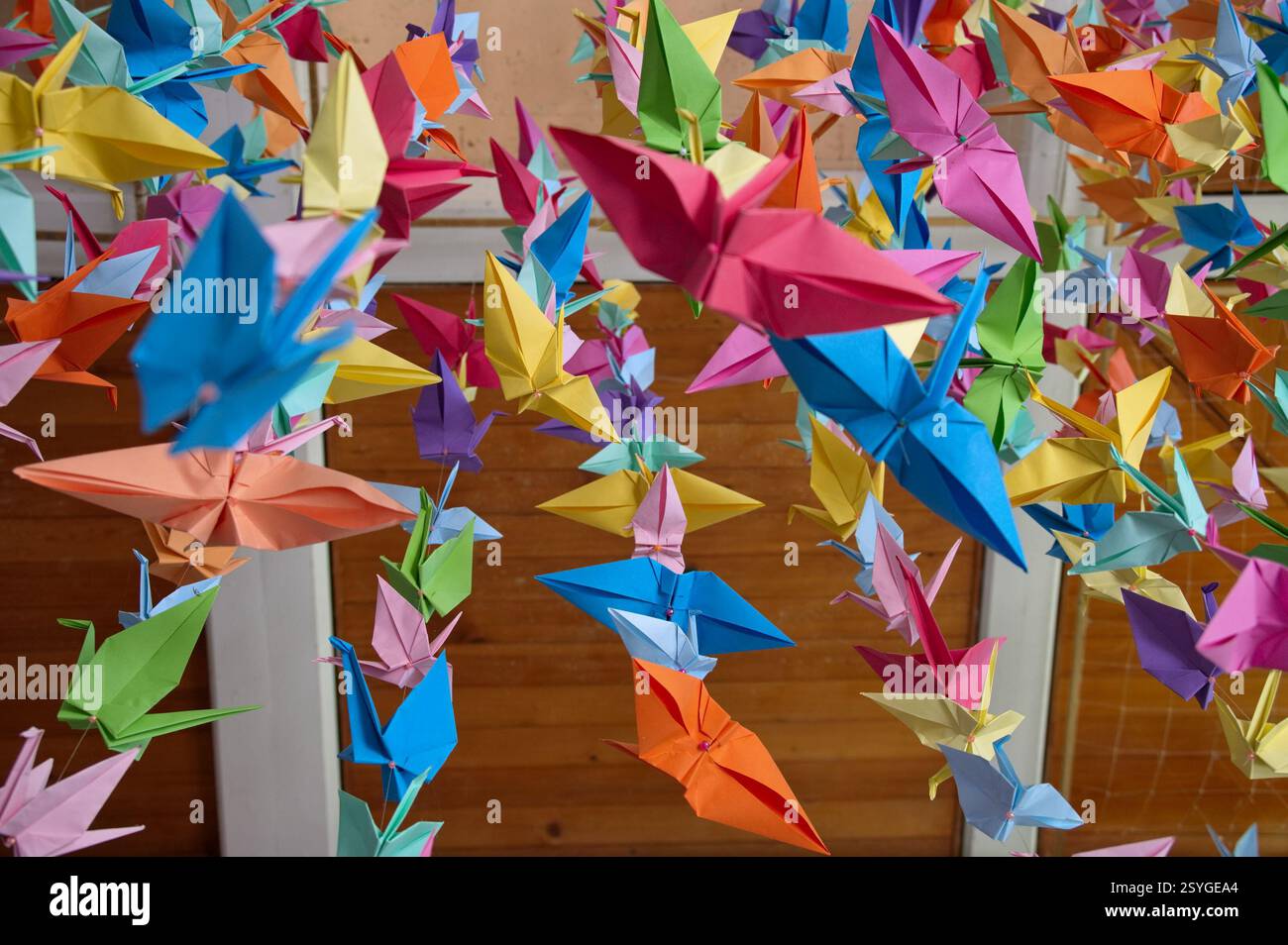 Flacher Blick auf Origami, der von der Decke hängt Stockfoto