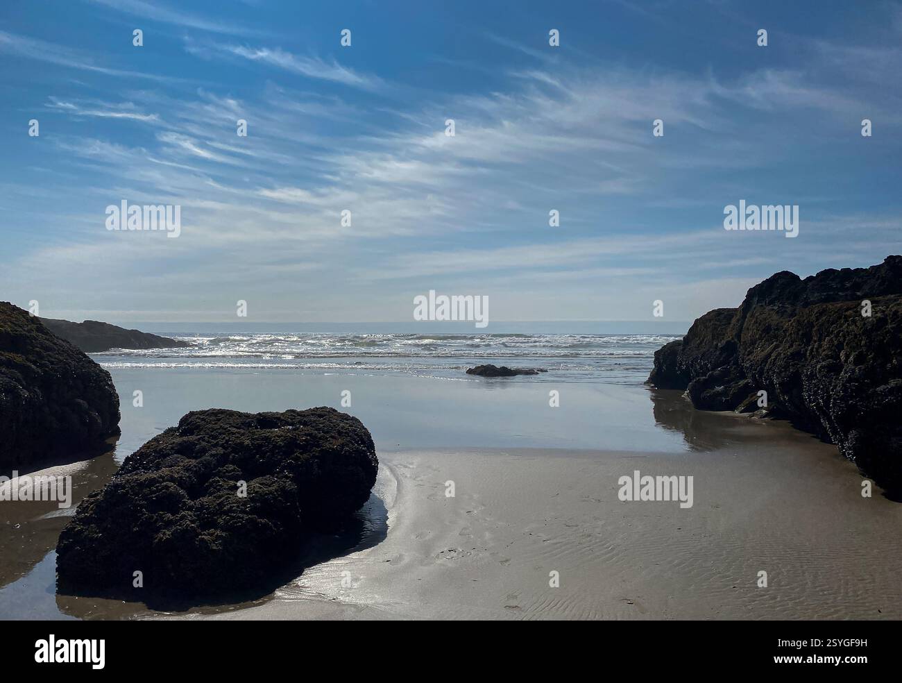 Möwen am Cannon Beach und Haystack Rock im Hintergrund Stockfoto