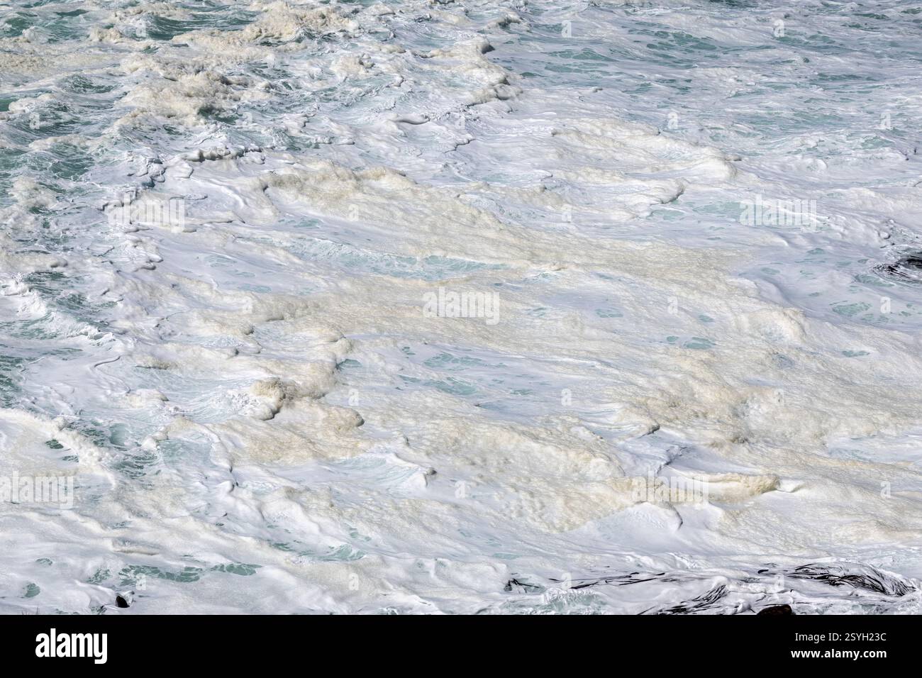 Meereslandschaft, Cape Bourgainville, East Island, Falklandinseln Stockfoto