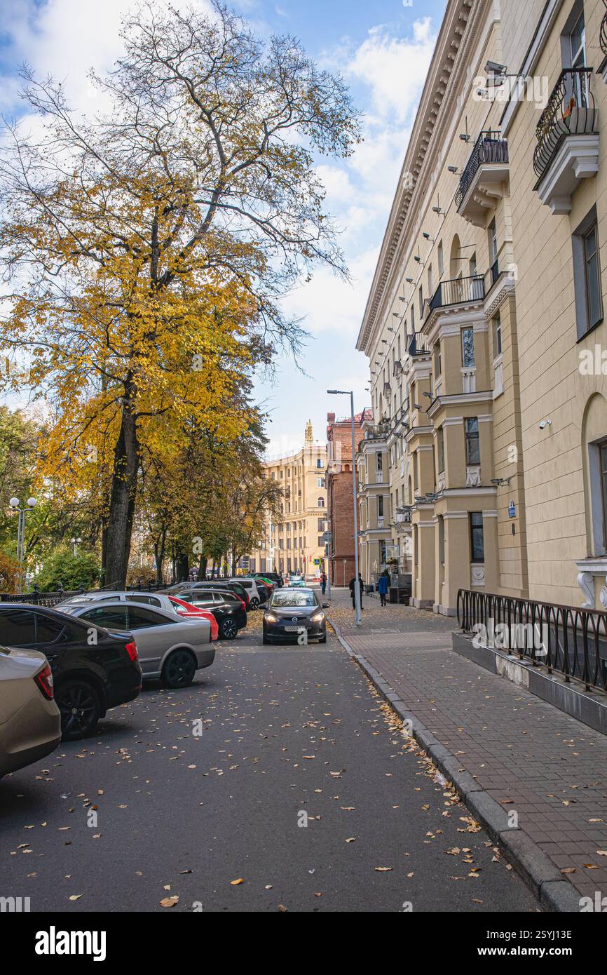 Üppige Bäume zeigen goldene Herbstblätter entlang einer ruhigen Stadtstraße, wo elegante Gebäude stolz stehen und geparkte Autos auf das tägliche Leben in der Bu hinweisen Stockfoto