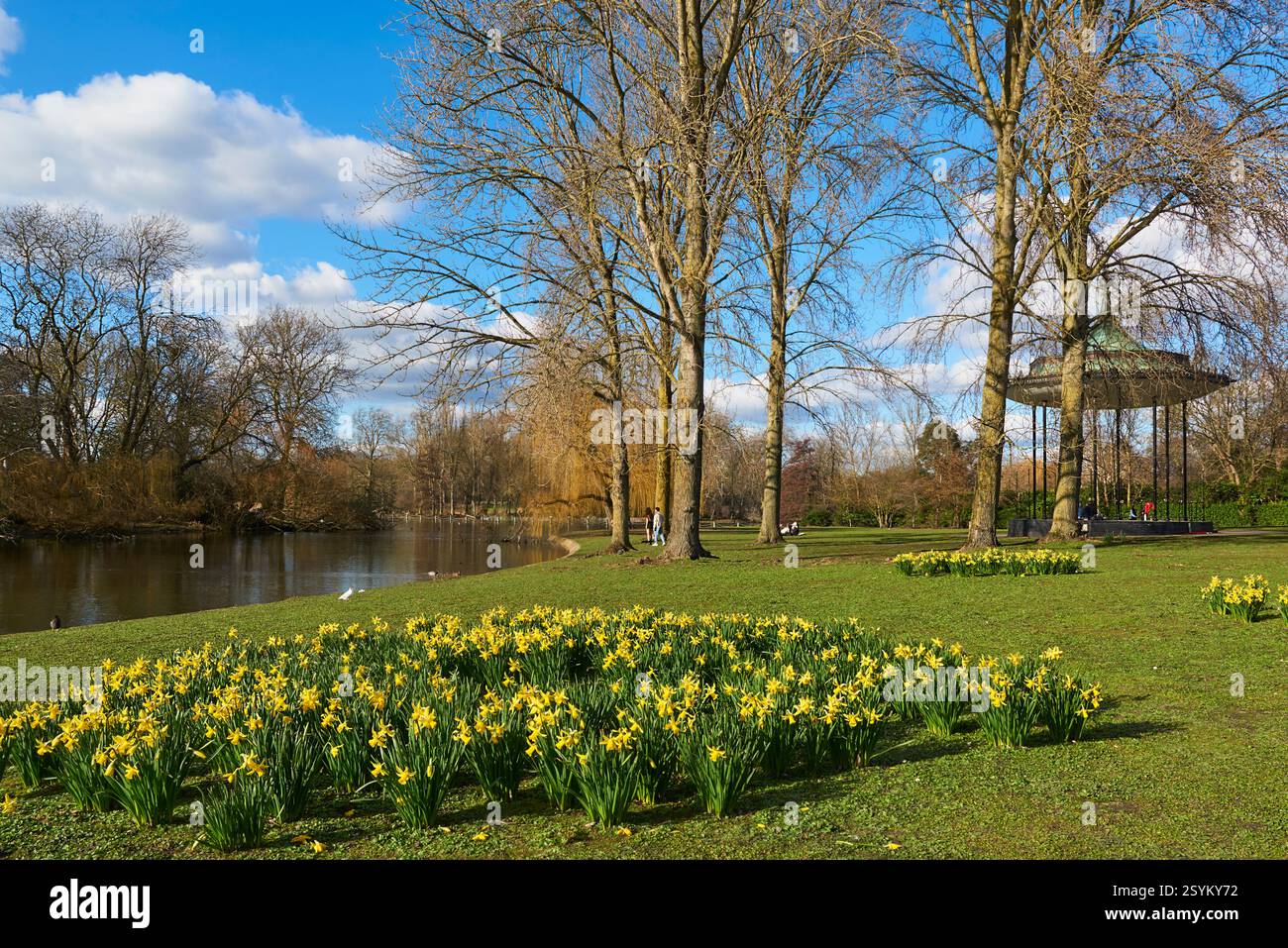 Regent's Park im Frühling, London UK, mit Narzissen, und dem Holme Green Bandstand und Bootsee im Hintergrund Stockfoto