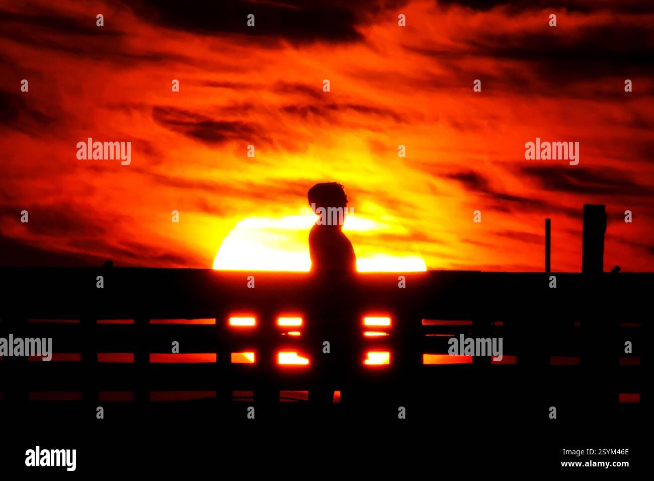 Isle Of Palms, Usa. März 2025. Eine Person, die vom Sonnenaufgang über dem Atlantischen Ozean geschildert wird, beobachtet vom Isle of Palms Pier am Front Beach, 1. März 2025 in Isle of Palms, South Carolina. Eine allmähliche Erwärmung bis in die 70er Jahre wird sich nach einem harten Winter im Tiefland fortsetzen. Quelle: Richard Ellis/Richard Ellis/Alamy Live News Stockfoto