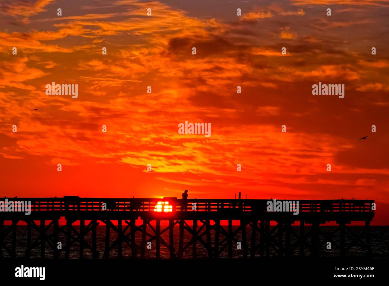 Isle Of Palms, Usa. März 2025. Eine Person, die vom Sonnenaufgang über dem Atlantischen Ozean geschildert wird, beobachtet vom Isle of Palms Pier am Front Beach, 1. März 2025 in Isle of Palms, South Carolina. Eine allmähliche Erwärmung bis in die 70er Jahre wird sich nach einem harten Winter im Tiefland fortsetzen. Quelle: Richard Ellis/Richard Ellis/Alamy Live News Stockfoto