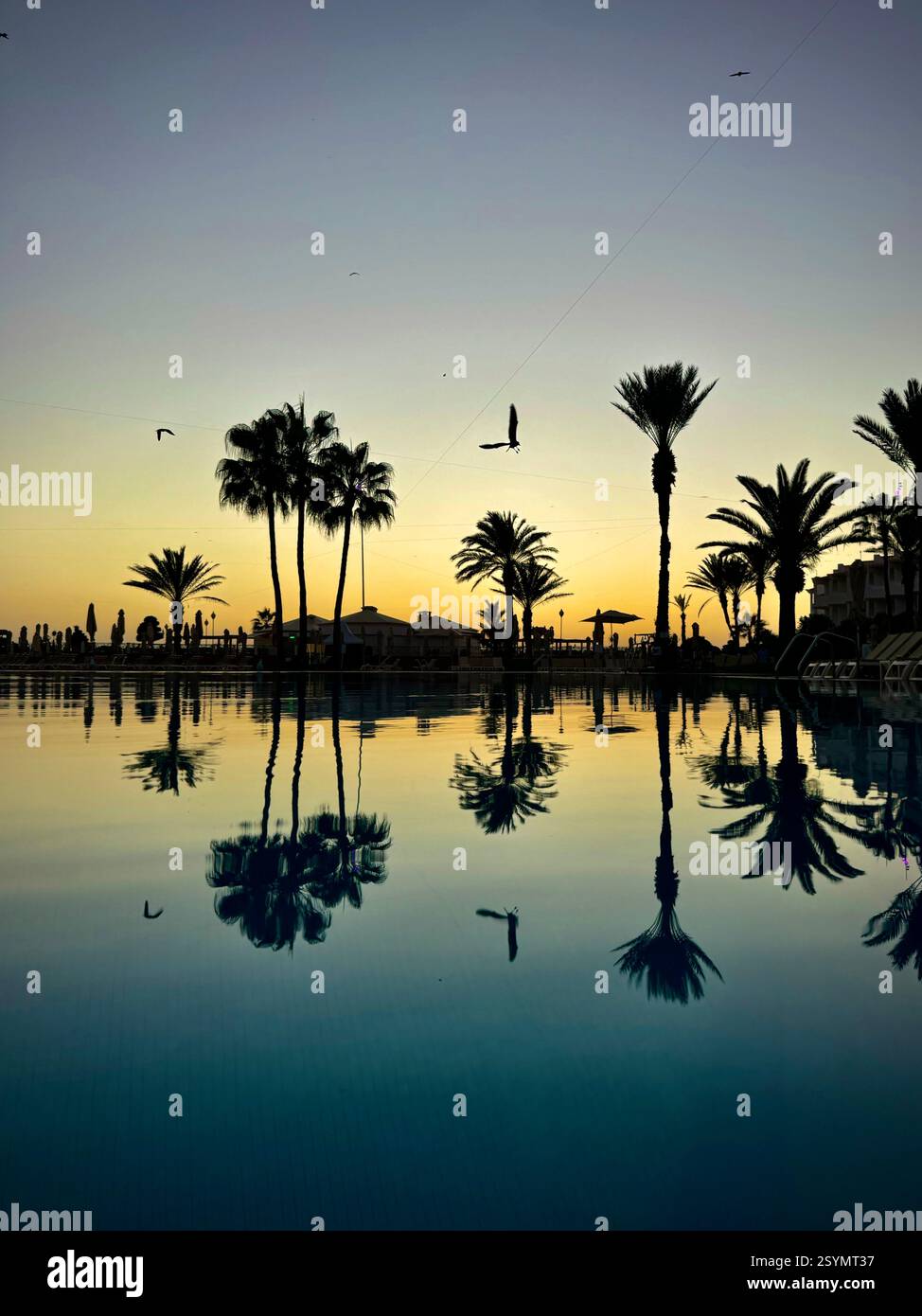 Untergehende Sonne hinter Palmen, mit Blick auf den Swimmingpool. Iberostar Waves, Founty Beach Hotel, Agadir, Marokko. - Smartphone-aufgenommenes Stockfoto