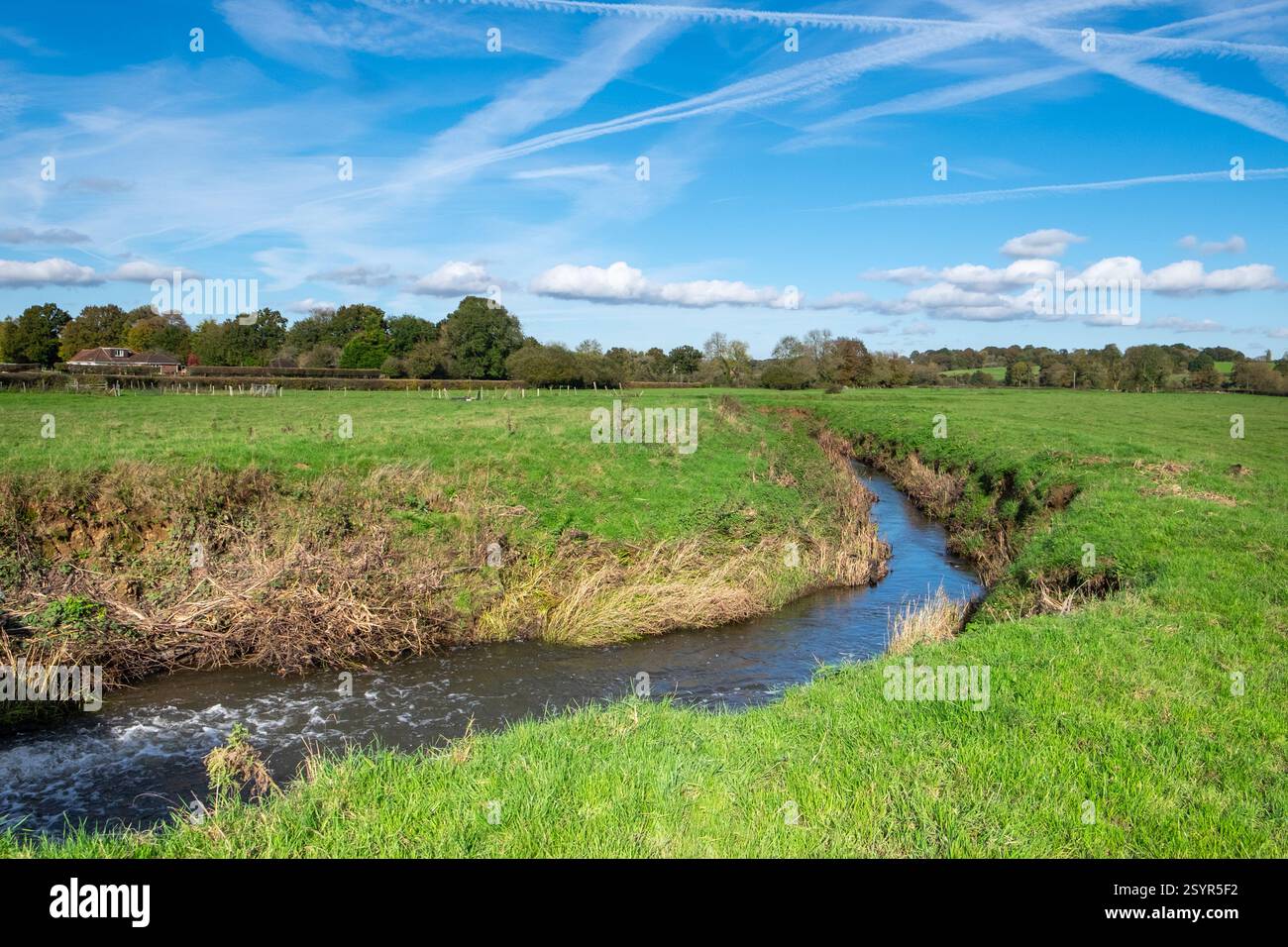 Stream oder Leat mäandernd in einem Feld, Surrey, England Stockfoto