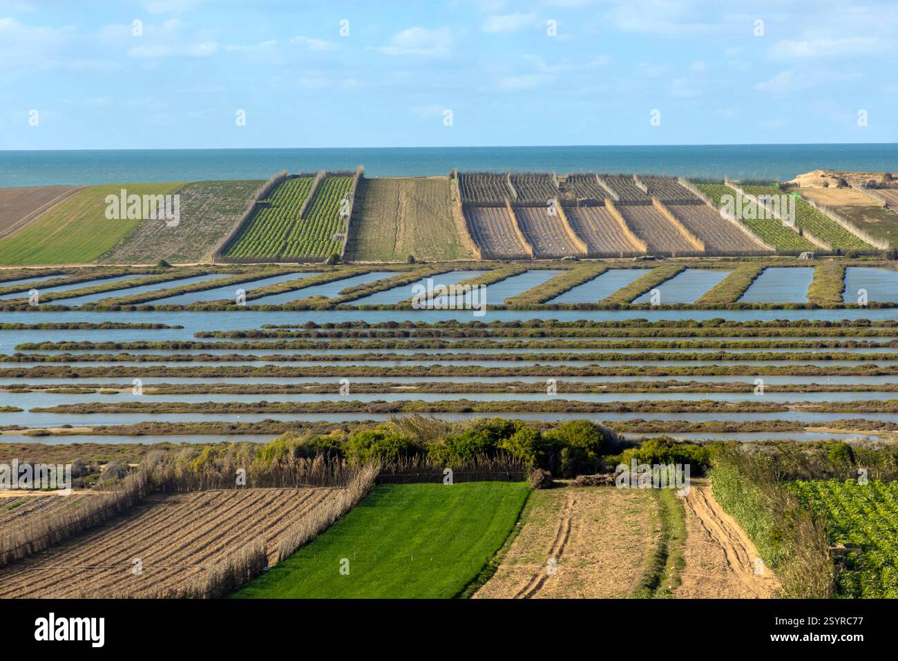 Oualidia liegt an Marokkos Atlantikküste und ist bekannt für seine Austernproduktion und liegt am südlichen Rand einer großen Gezeitenlagune. Stockfoto