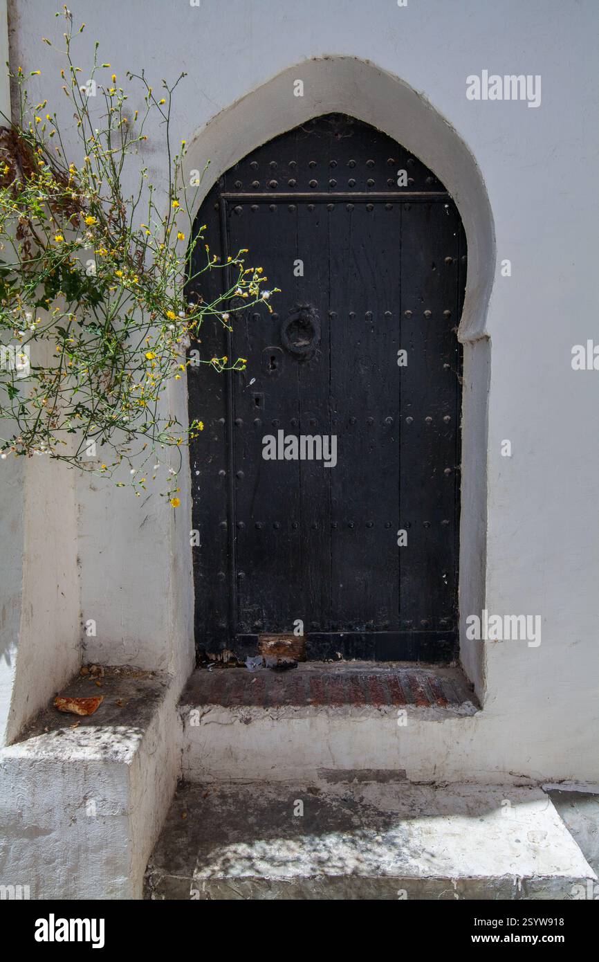 Dunkle, verwitterte Holztür in einer weiß getünchten Wand, eingerahmt von einer bogenförmigen Öffnung, mit etwas Grün, die einen Hauch von Natur verleiht Stockfoto