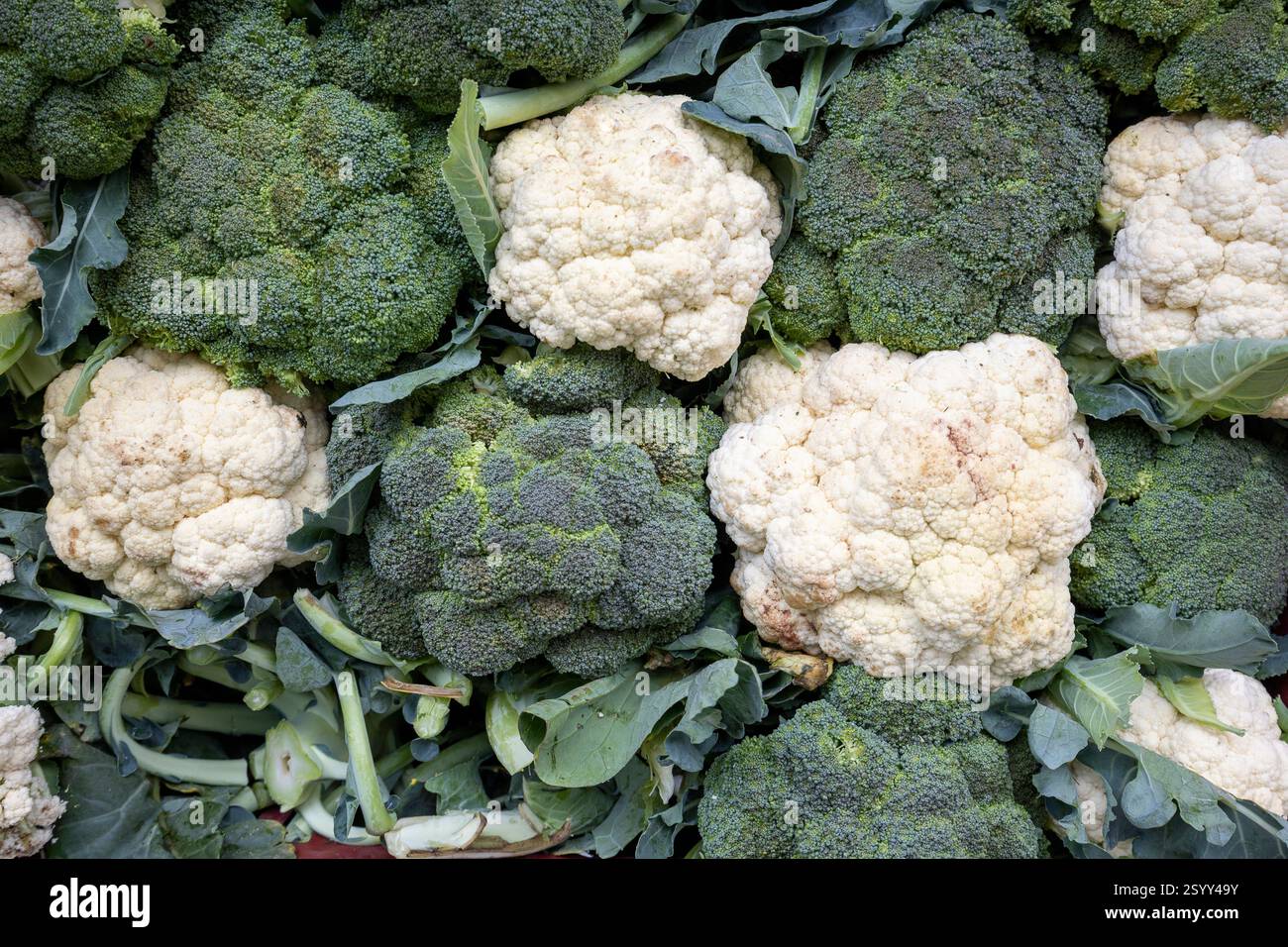 Brokkoli und Blumenkohl auf der traditionellen Straßenmesse in Sao Paulo, Brasilien, um die Versorgung mit frischen Lebensmitteln sicherzustellen. Stockfoto
