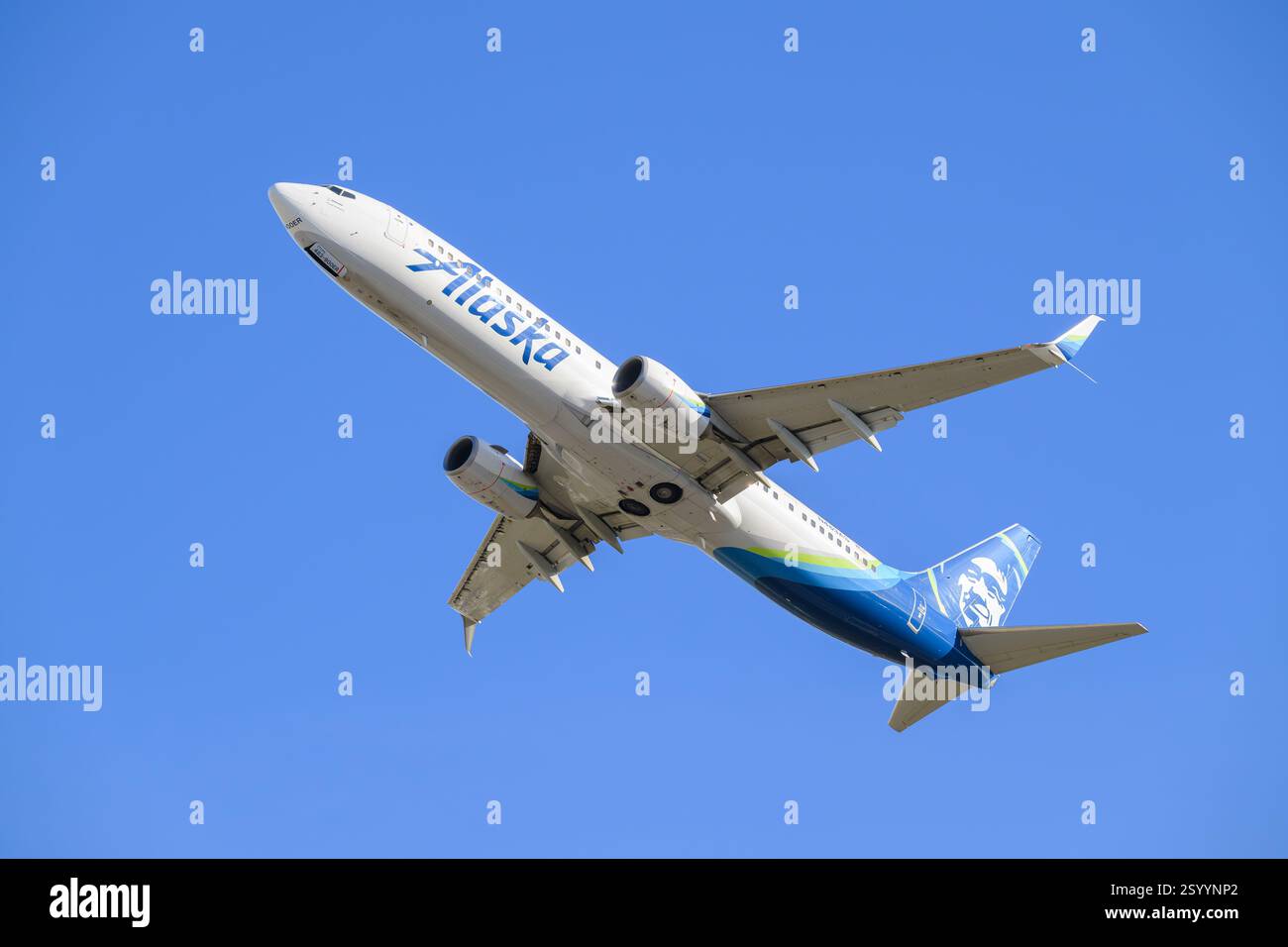 Everett, WA, USA - 28. Februar 2025; Boeing 737-900 Doppeljet in Alaska Airline Markenfarbe steigt nach dem Start isoliert am blauen Himmel an Stockfoto