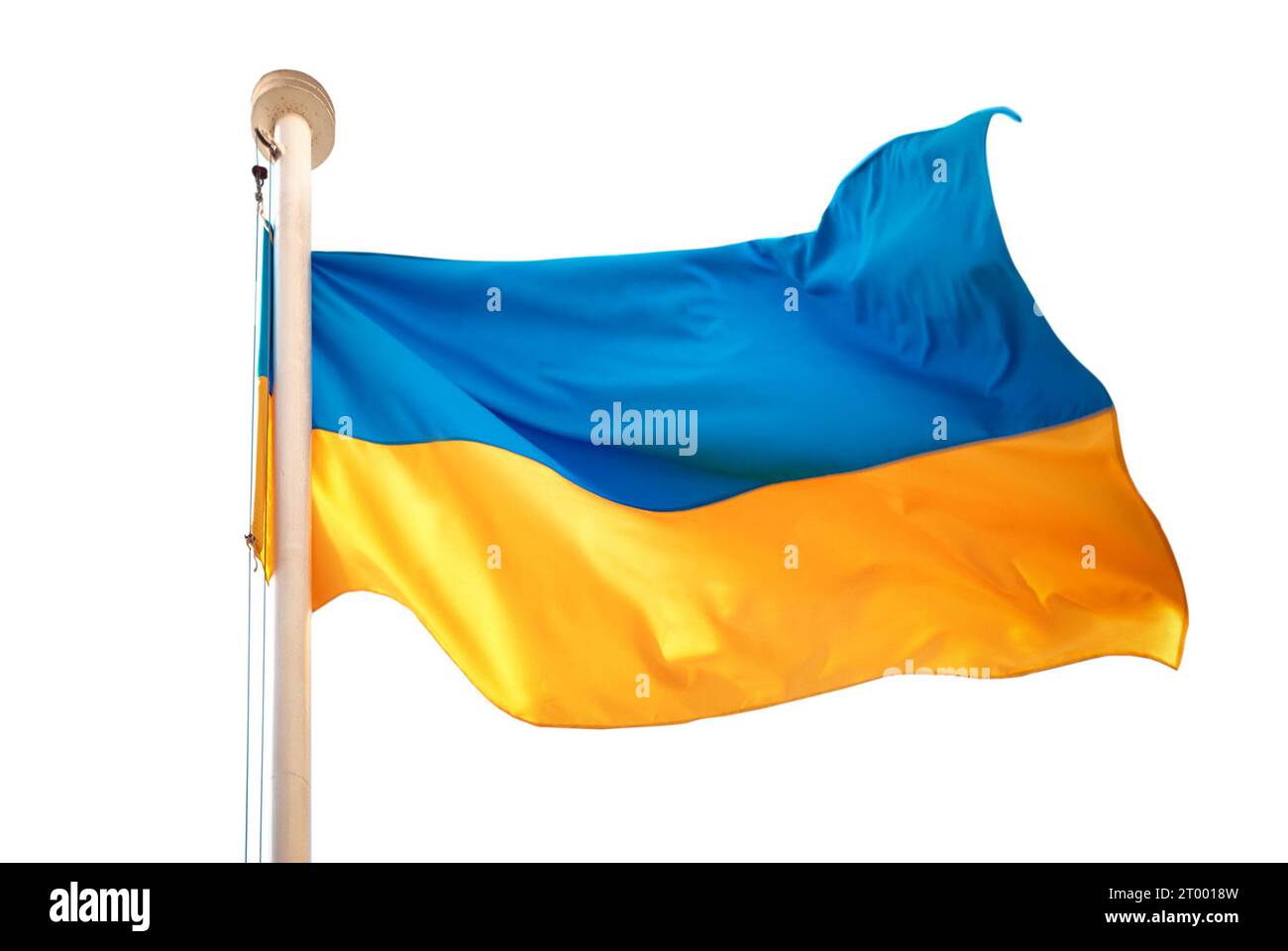 Ukrainische Flagge Stockfoto