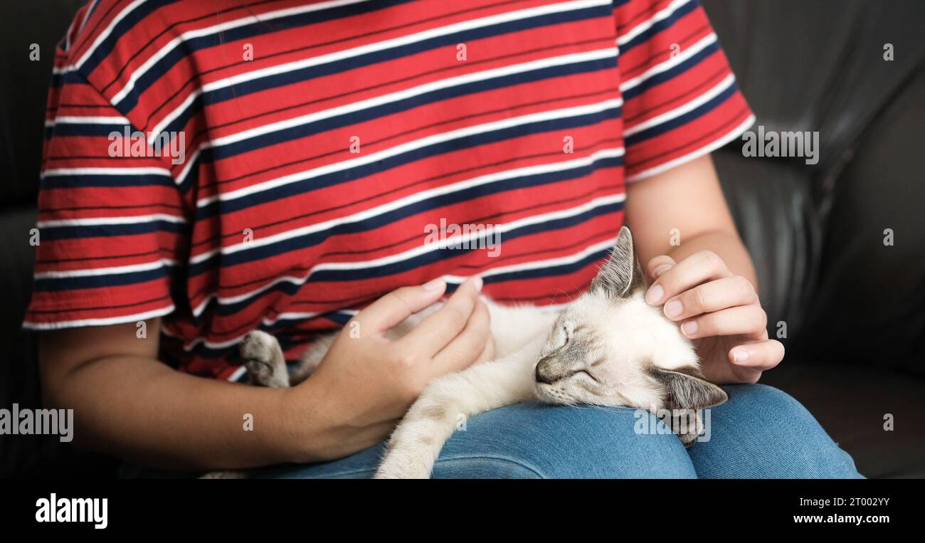 Frau umarmt süße Katze. Freundschaft Tierliebhaber. Vertrauen Sie Liebe Freund des Menschen. Stockfoto
