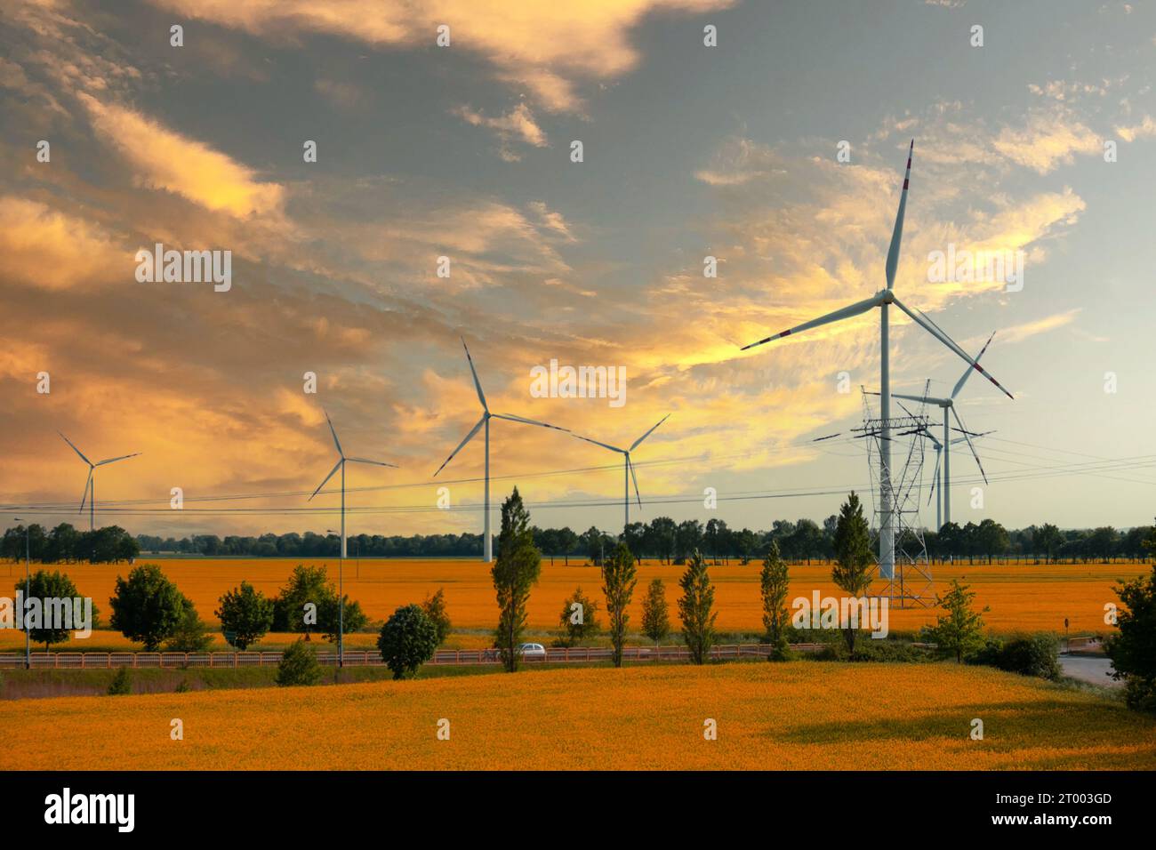 Windkraftanlage auf grasbewachsenem gelbem Feld vor bewölktem blauem Himmel im ländlichen Raum bei Sonnenuntergang. Windmühlenpark vor der Küste mit stürmischem Clou Stockfoto