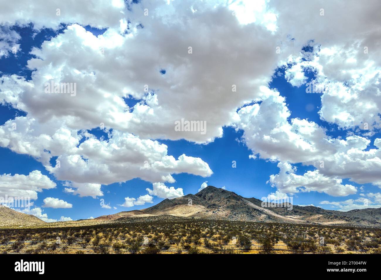 Trockene Landschaft am Highway in Mojave, Kalifornien Stockfoto
