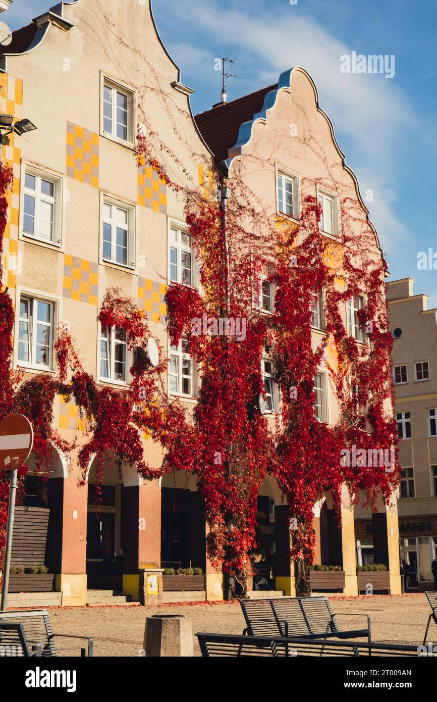 Olsztyn Polen Oktober 2022 berühmte Touristenattraktion Architektur Reiseziele in Olsztyn. Straße des Alten Rathauses auf Th Stockfoto