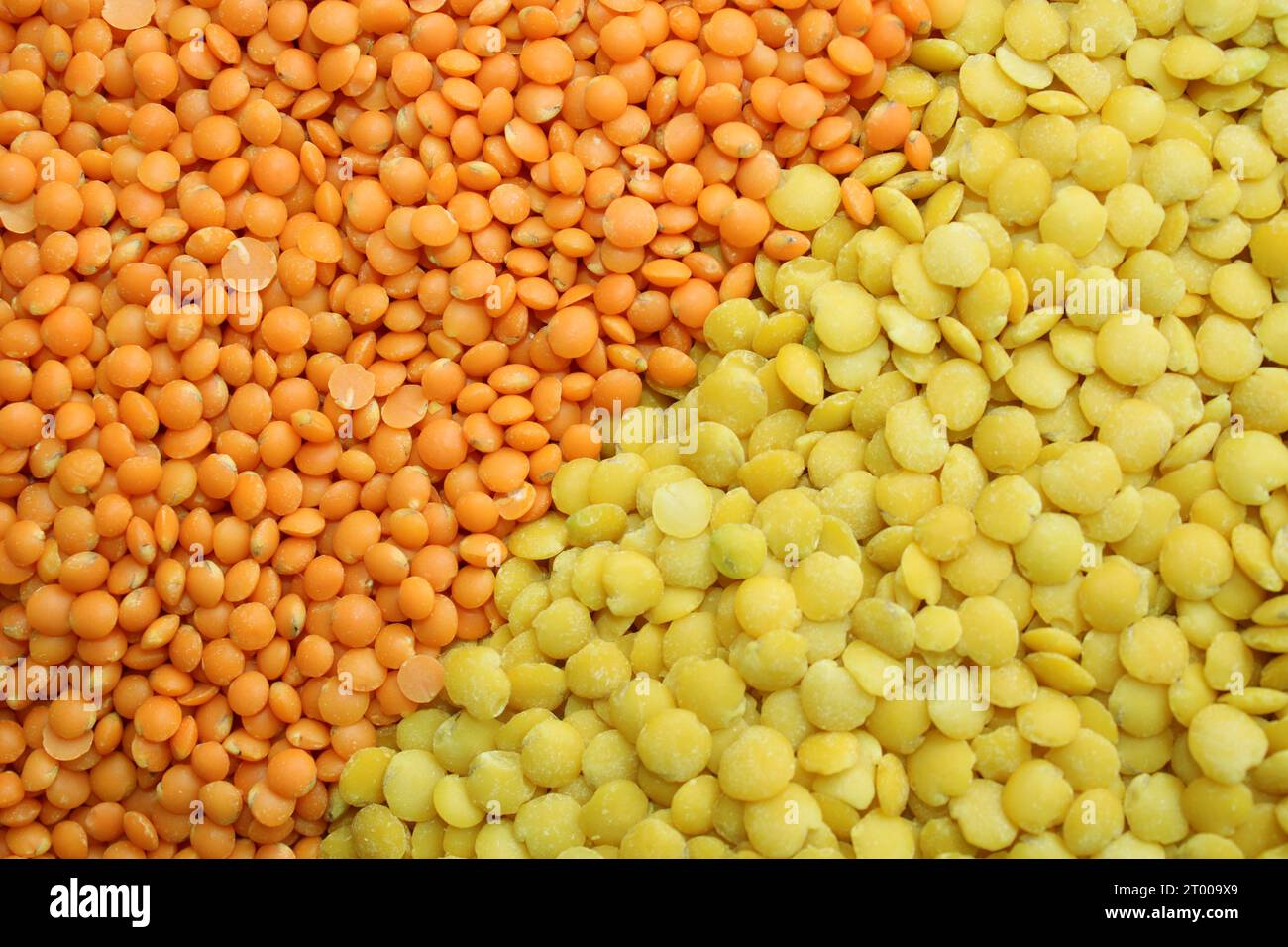 Grundnahrungsmittel wie Linsen in den Farben Grün, Rot, Orange, Gelb für vegane vegetarische Restaurants oder den Handel mit Getreideprodukten. Stockfoto