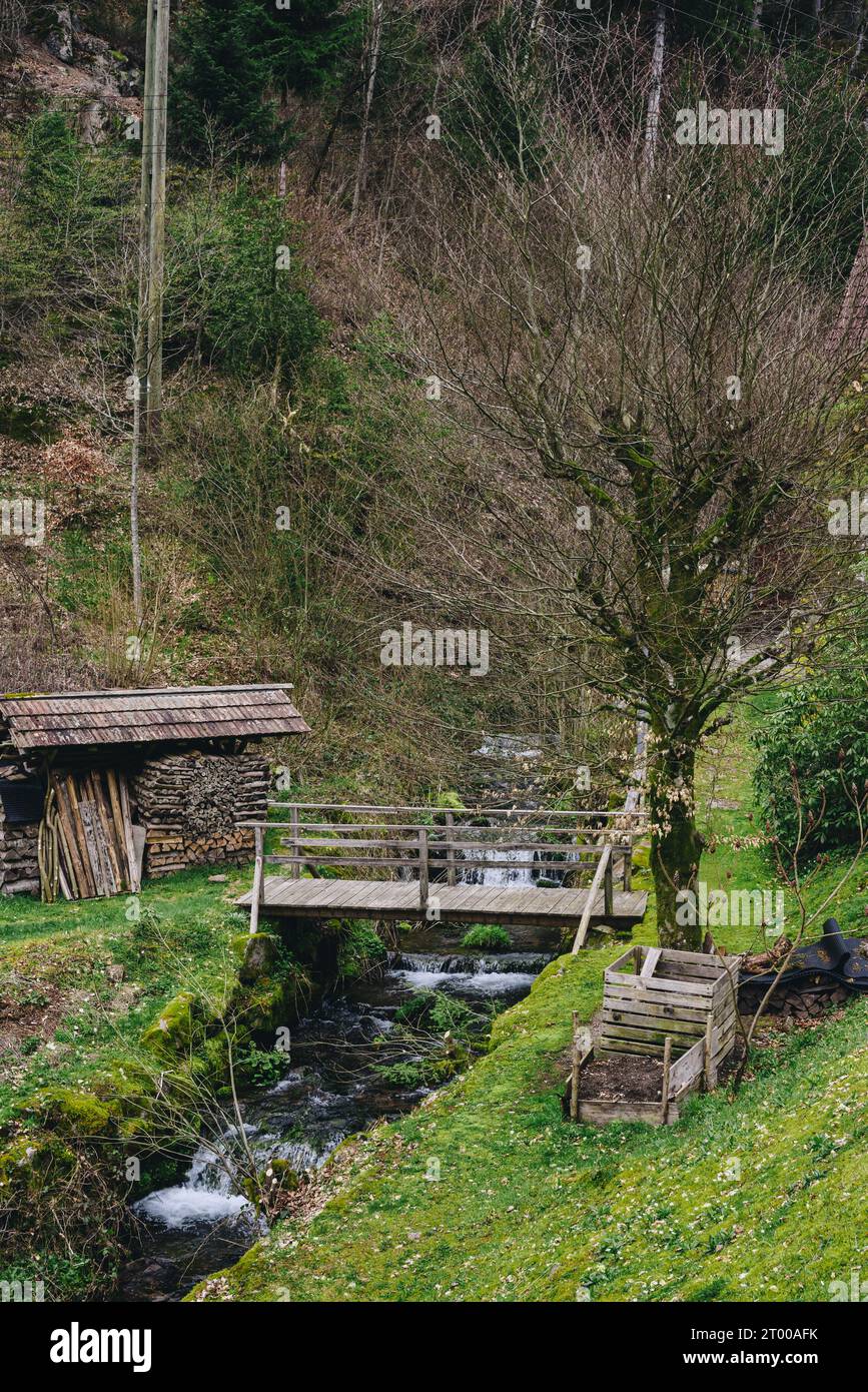 Gebirgswasserströmung im grünen Alpenwald. Flussbach Wasserfall in Waldlandschaft. Malerische Aussicht auf felsige Berge Stockfoto