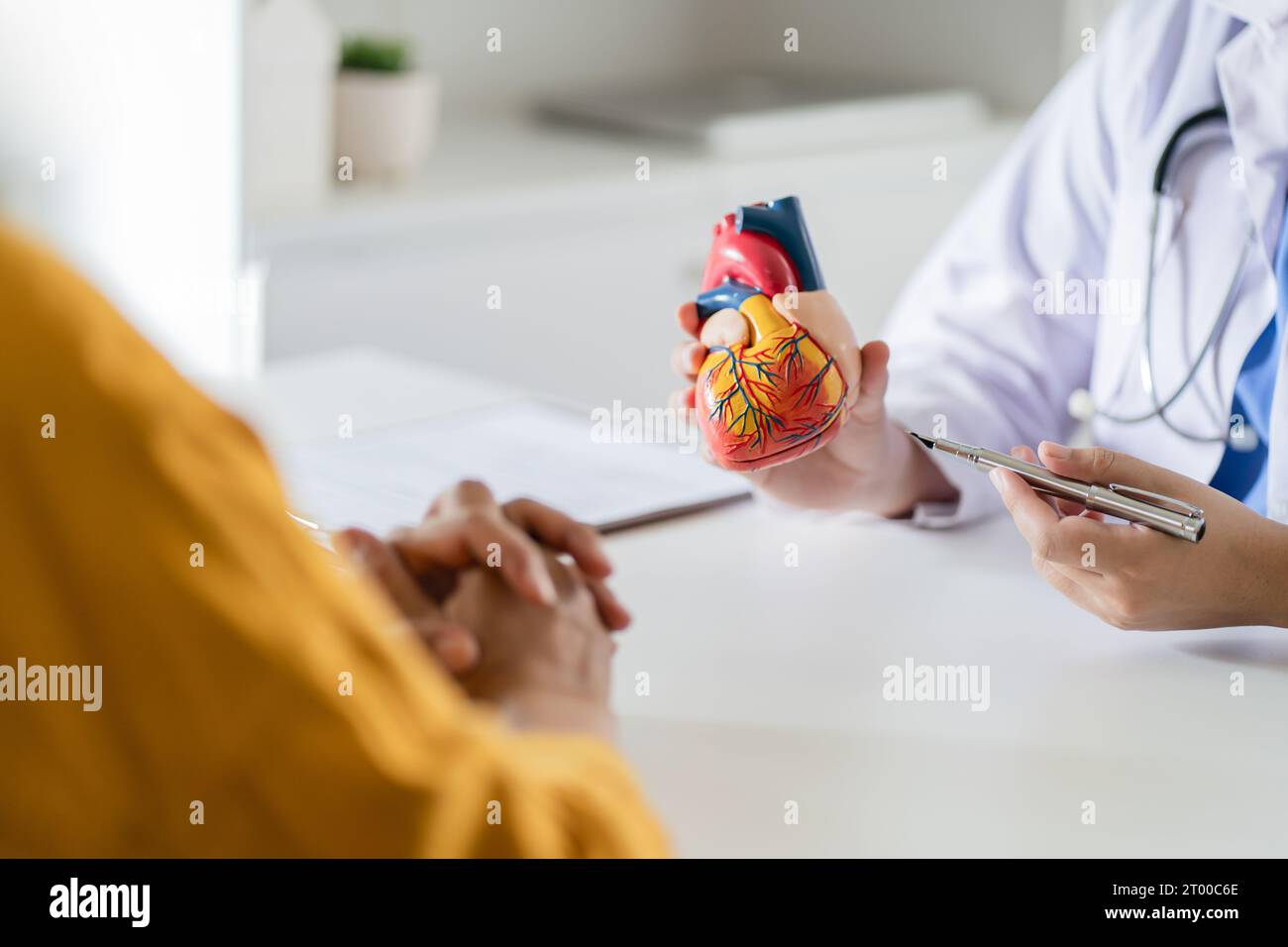 Kardiologische Beratungsbehandlung der Herzkrankheit. Arzt-Kardiologe bei Konsultation mit anatomischem Modell der menschlichen Hea Stockfoto