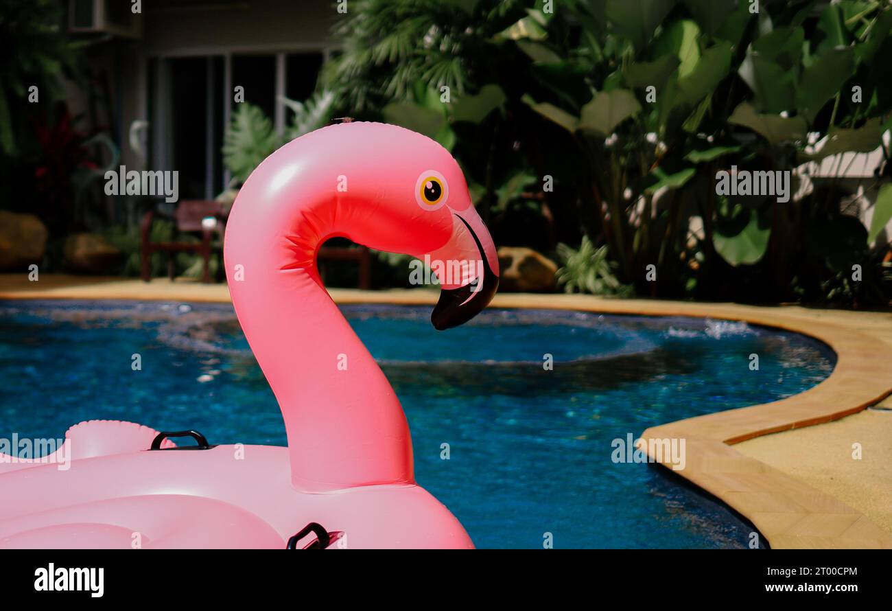 Sommerferien lustig lustiger rosa Flamingo schweben in einem Swimmingpool trendiges Sommerkonzept Stockfoto