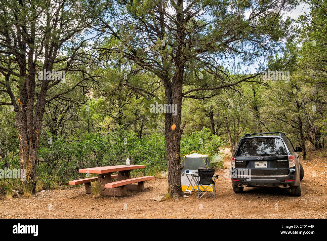 Campingplatz auf dem Indian Hollow Campground, Kaibab National Forest, in der Nähe von Little Saddle am Nordrand des Grand Canyon, Arizona, USA Stockfoto