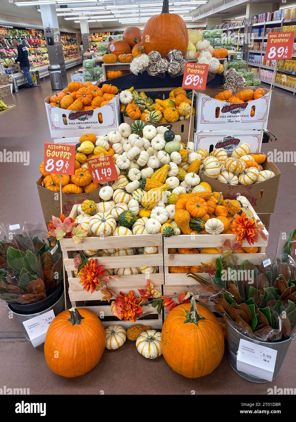 Festliche Herbstausstellung im Trader Joe's in New York City, 2023, USA Stockfoto
