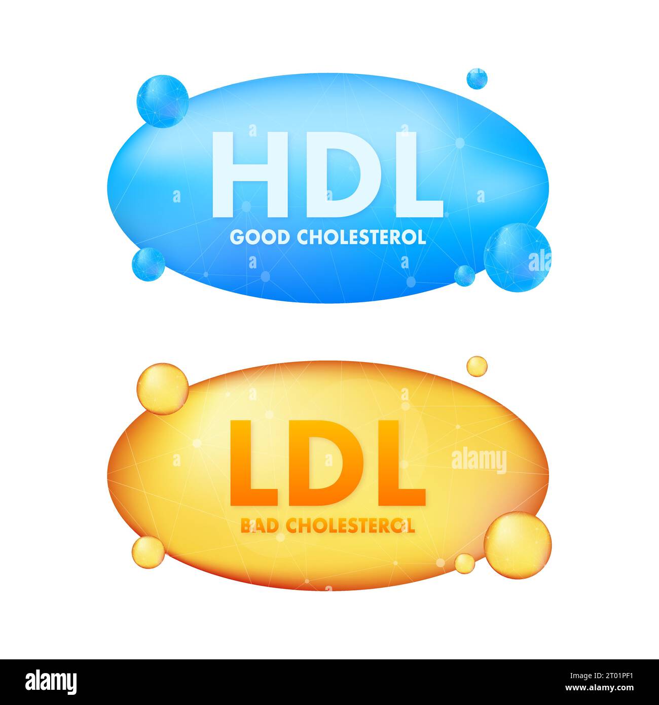 HDL und schlechtes LDL-Cholesterin, tolles Design für jeden Zweck. Abbildung des Vektormaterials Stock Vektor