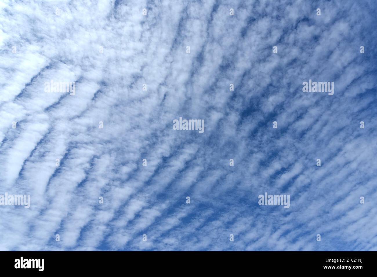 Altocumulus undulatus Wolken, die ein Ripple-Effekt-Muster bilden Stockfoto