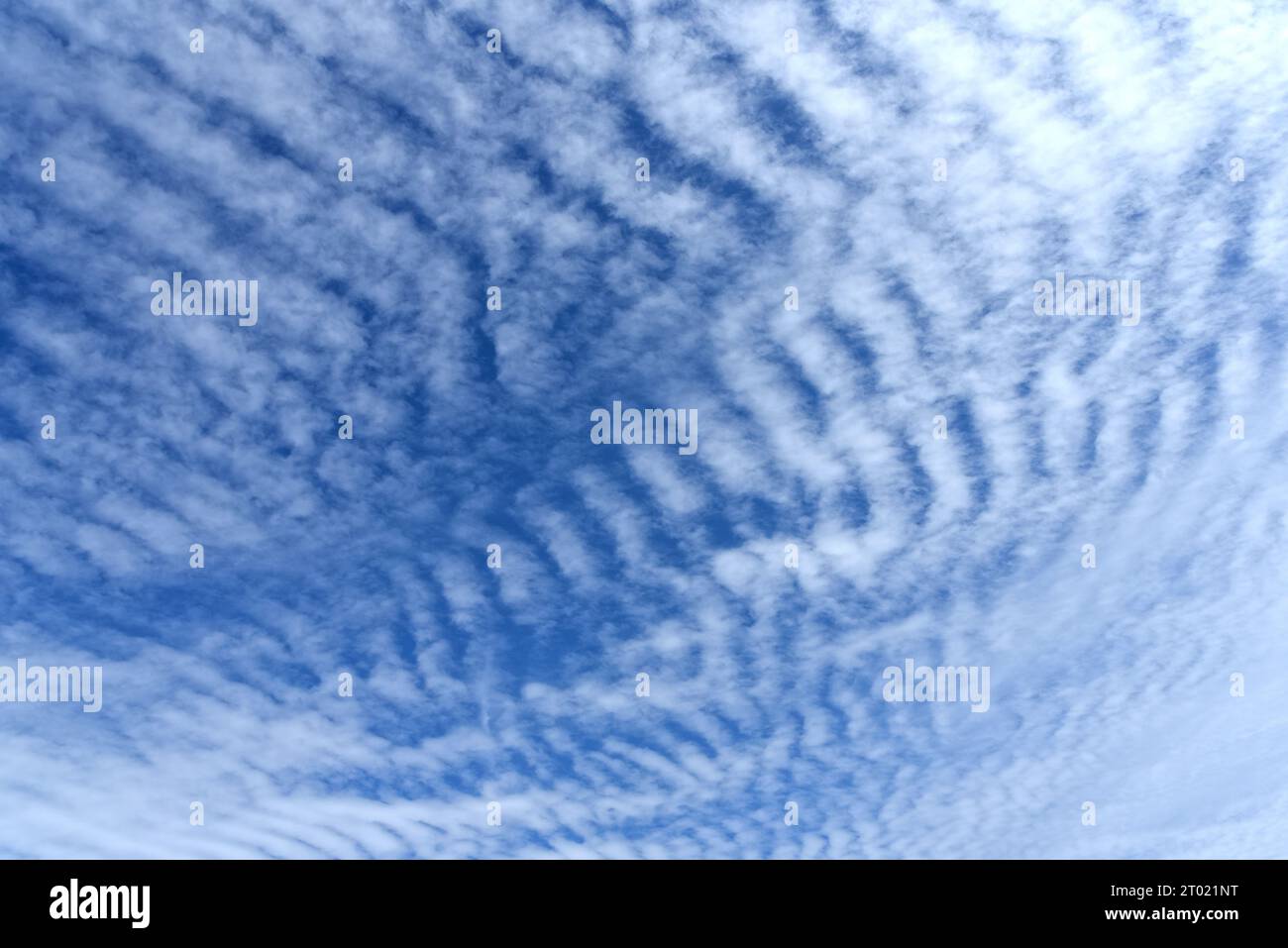 Altocumulus undulatus Wolken, die ein Ripple-Effekt-Muster bilden Stockfoto