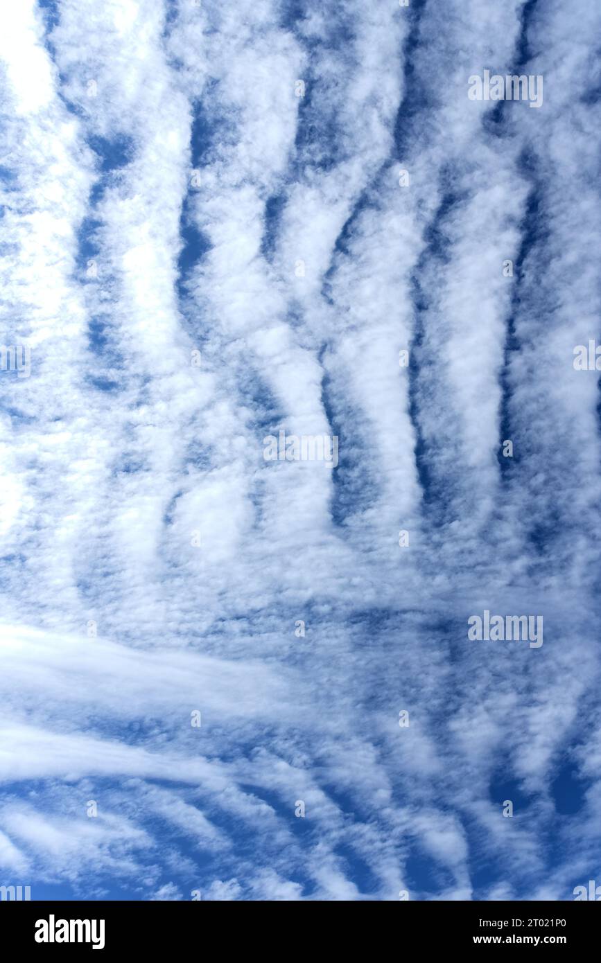 Altocumulus undulatus Wolken, die ein Ripple-Effekt-Muster bilden Stockfoto